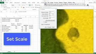 How to add scale bar in ImageJ