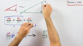 مثلثات - بخش 1 : معرفی نسبت های مثلثاتی به کمک قضیه تالس و تشابه