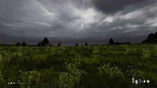 DayZ 1.23 | New Skybox Looks Great!