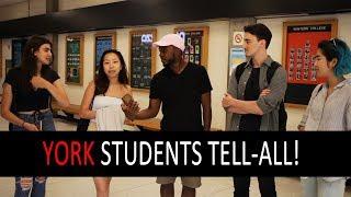 Everything You Need to Know About YorkU