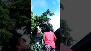 Tiktok Trends Papua #Shorts