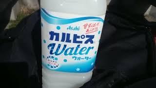 My Favorite Japanese Drink Name