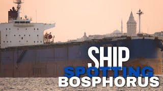 Big Bulk Carrier Vessel Sailing Near Galata Tower | Relaxing Shipspotting