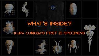 3D-Printable Cosmic Wonders  |  Kura Curiosa:  Specimens 1-10