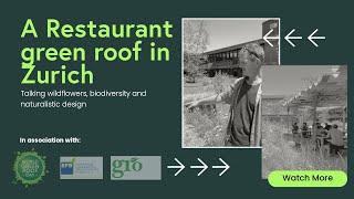 A Swiss green roof a Restaurant in Zurich -  World Green Roof Day Videos