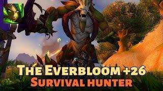 Survival Hunter 430k DPS. +26 Everbloom (Dragonflight Mythic+ Season 3)