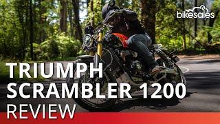 2024 Triumph Scrambler 1200 XE Review | Is the Triumph Scrambler 1200 XE the perfect motorcycle?