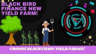 Black Bird Finance New Yield Farm on Cronos!