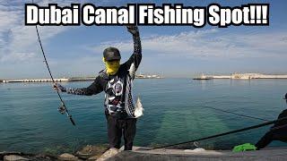 Productive Fishing | Dubai Canal UAE | Sibiki lang sakalam!