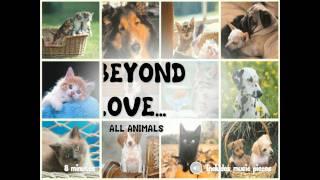 Beyond Love To All Animals