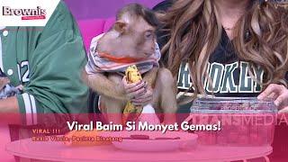 Viral Baim Si Monyet Gemas! | BROWNIS (01/03/24) P2