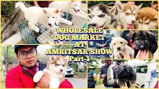 Wholesale Puppy Market in Punjab, AMRITSAR | Recent Prices | KCI | UKC 25th December 2022