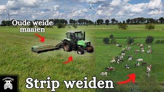 Strip Weiden & Gras Maaien