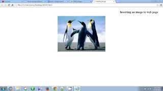 How To Insert Image in HTML Web Page Using Notepad Tutorial 2