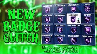 *NEW* NBA 2K20 INSTANT BADGE GLITCH! NEW BADGE GLITCH IN NBA 2K20! BEST BADGE GLITCH 2K20!