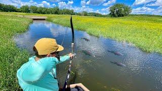 EPIC BOWFISHING the Mississippi River BACKWATERS!