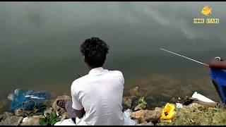 #Tilapia hunting #hook stars #tilapia fishing bait