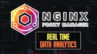 Real-Time NGINX Proxy Manager Data (Early Release)