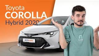 Toyota Corolla Hybrid | Ist das der beste Hybrid?