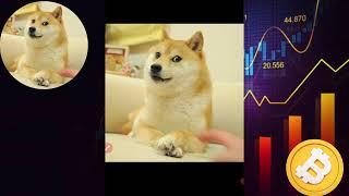 dogecoin | BREAKING NEWS dogecoin news today | baby dogecoin | doge coin price prediction