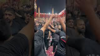 Pakistani zaireen haram imam Ali as me pursa pesh Krte hue // mere sar or rida #imamali #holyshrine