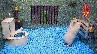  Hamster Escapes the Awesome Double Prison Maze with Minecraft Creeper for Pets in real life