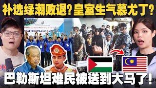 能吉里补选=国盟没落？安华派军机载巴勒斯坦难民！ 【#新闻随便看 21/8】