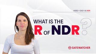 Easy as NDR | What is the R of NDR?