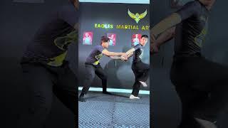 Toả sáng 5s [BEN EAGLE] #beneagle #kungfu #martialarts #fighting #action #entertainment