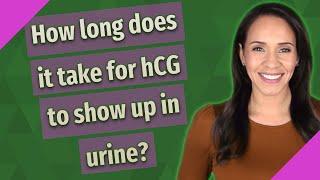 How long does it take for hCG to show up in urine?