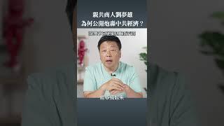 刘梦雄炮轰中共经济