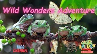 Wildlife Education : Wild Wonders Adventure