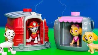 Exploring the Paw Patrol Marshall and Skye Pup to Hero Changers