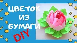 ЦВЕТОК ИЗ ЦВЕТНОЙ БУМАГИ / КУВШИНКА