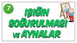 7.Sınıf Fen Bilimleri | Işığın Soğurulması ve Aynalar