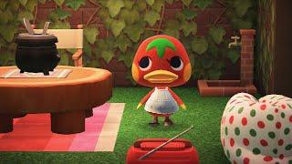 Animal Crossing New Horizons House Tour Ketchup Villager