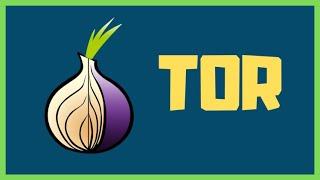 How Tor Works?  (The Onion Router)