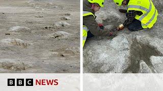 UK's biggest ever dinosaur footprint site discovered | BBC News