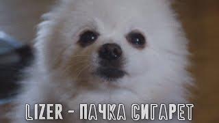 LIZER - Пачка сигарет (ft. Пёс Гейб)