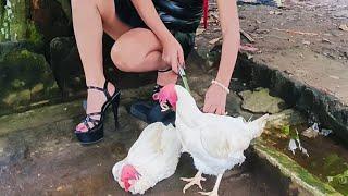 Slaughtering 2 white Chicken for our Dinner | Miss Shirly