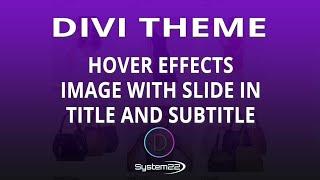 Divi Theme Hover Effects Image With Slide In Title And Subtitle