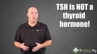 Thyroid Stimulating Hormone (TSH) | The Wellness Way Lab Series