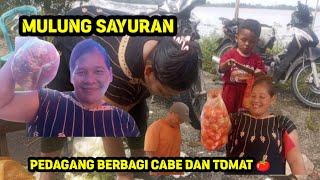 MULUNG SAYURAN HARI INI ⁉️ SYUKUR SEKALI PEDAGANG BERBAGI CABE DAN TOMAT