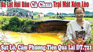 Đà Lạt Hái Dâu Xóm Lèo, Sạt Lở Ngăn Cách Giao Thông DT.721