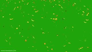 Golden confetti blast and falling animation green screen and alpha video@motionbg