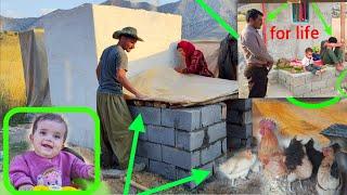 Ali and his family built a shed for their chickens and roosters | Nomadic Life 2024