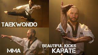 Beautiful kicks: Capoeira, Karate, MMA, kickboxing.