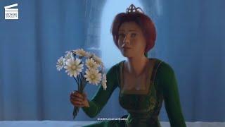 Shrek: Saving the princess from her castle (HD CLIP)