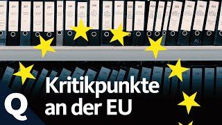 Kritik an der EU überprüft: Drei häufige Punkte | Quarks