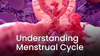 Understanding Menstrual Cycle Through 3D Animation